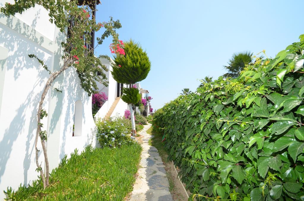 Salinas Beach Hotel Bodrum-Boutique Concept Gümbet Εξωτερικό φωτογραφία